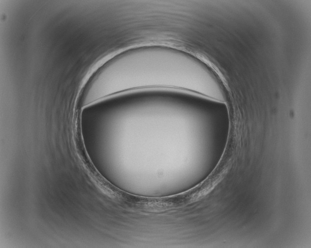 X0000085791077200703160928