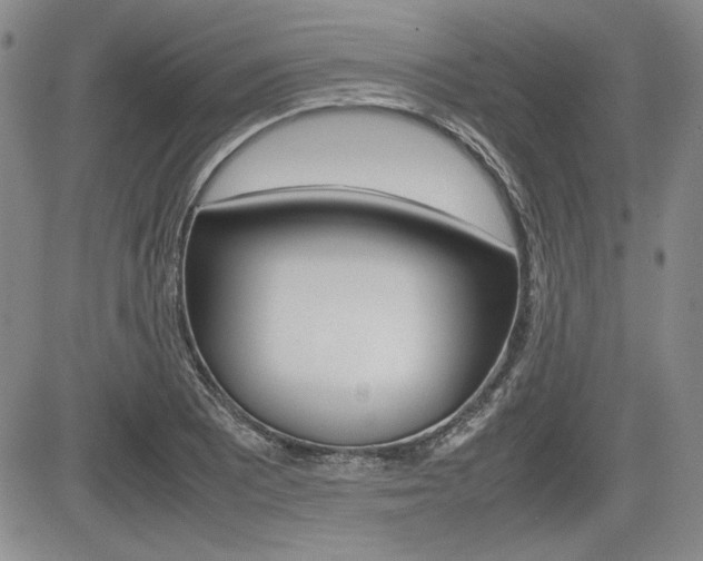 X0000085791081200703160927
