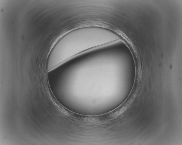 X0000085791089200703160927