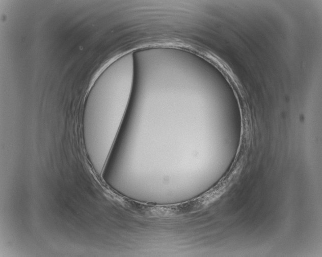 X0000085791097200703160927