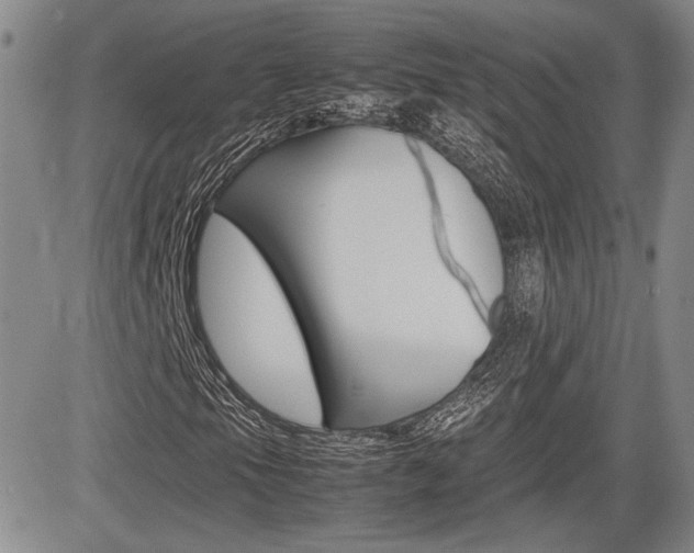 X0000085791105200703160926