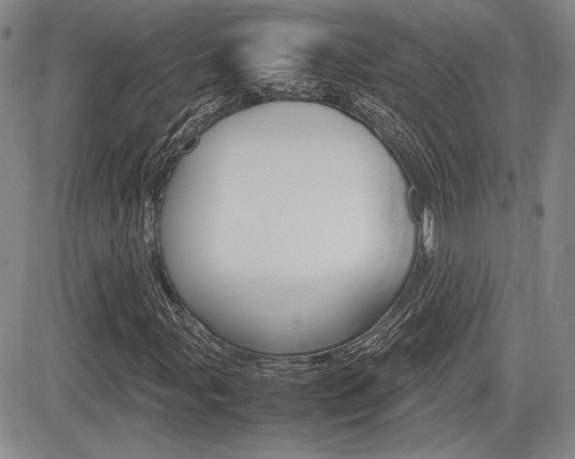 X0000085791107200703160926