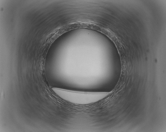 X0000085791110200703160926