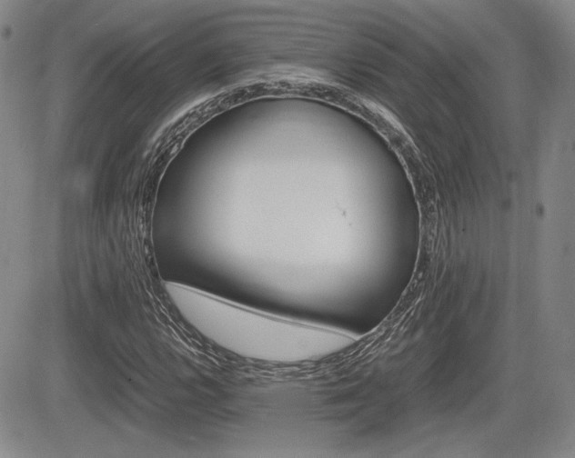 X0000085791112200703160926