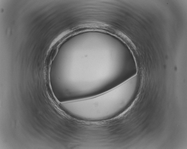 X0000085791114200703160926