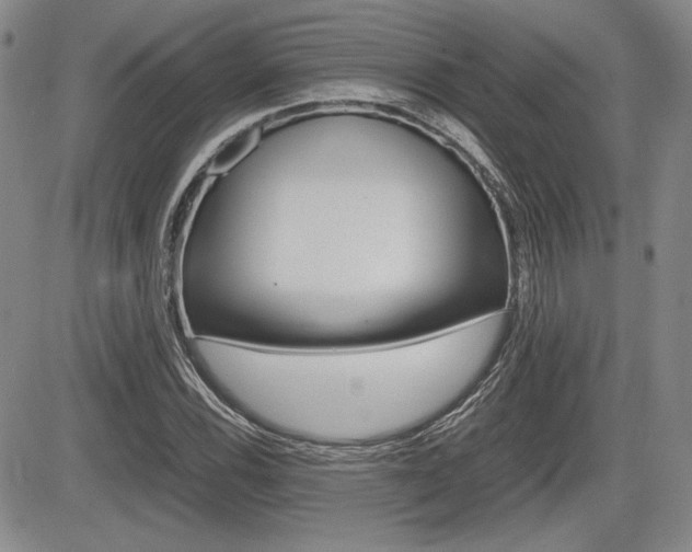 X0000085791116200703160926
