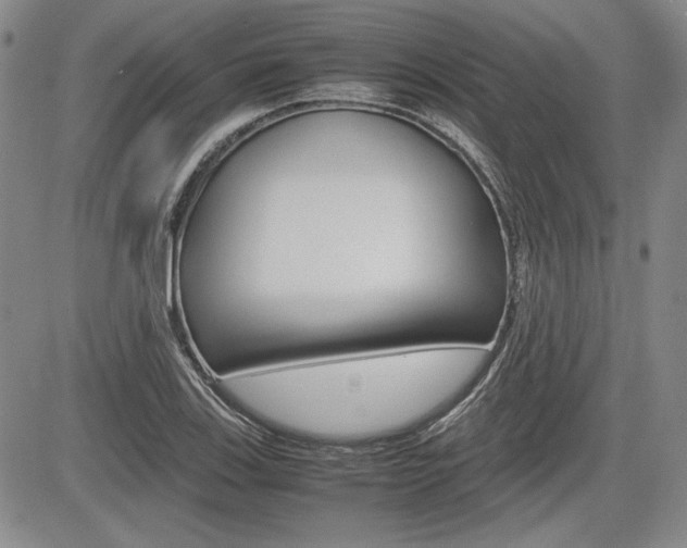 X0000085791123200703160927