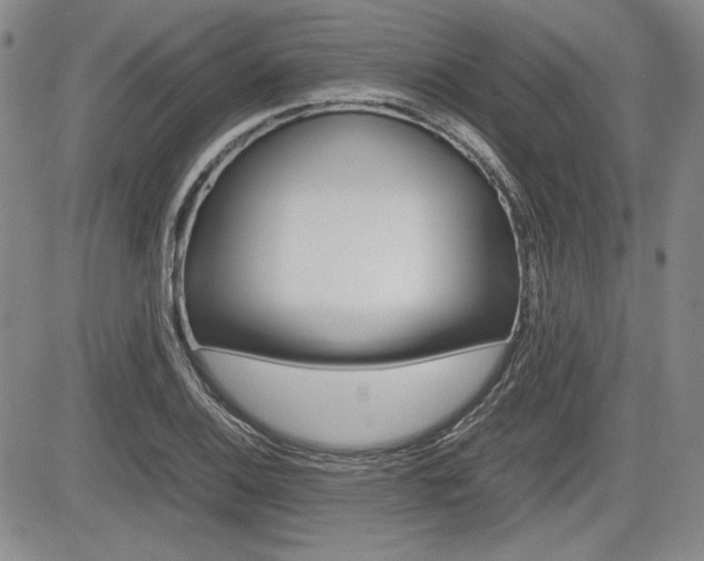 X0000085791124200703160927
