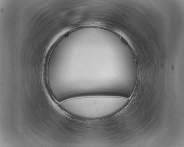 X0000085791139200703160927