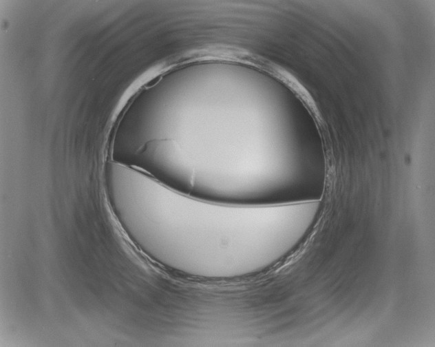 X0000085791146200703160927