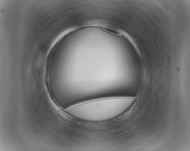 X0000085791147200703160927