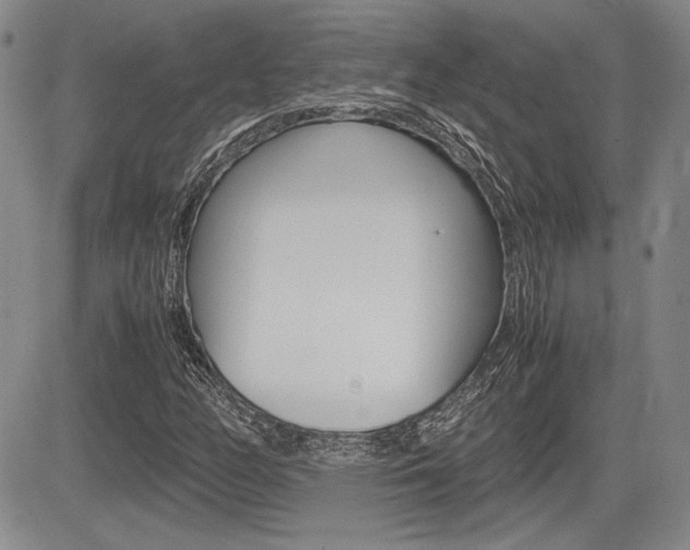 X0000085791158200703160926