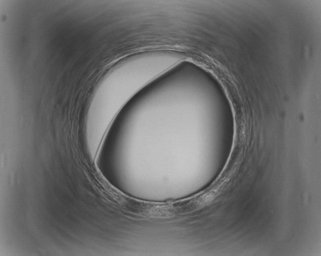 X0000085791161200703160926