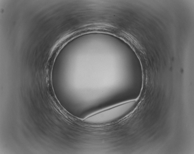 X0000085791164200703160926