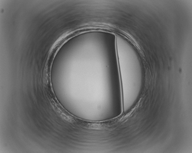 X0000085791172200703160926