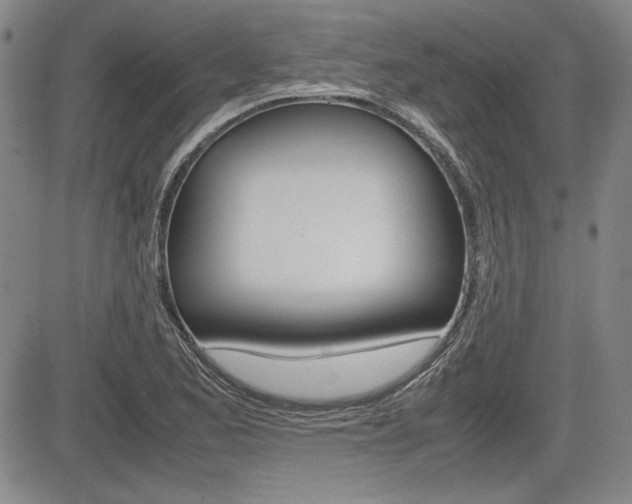X0000085791173200703160926