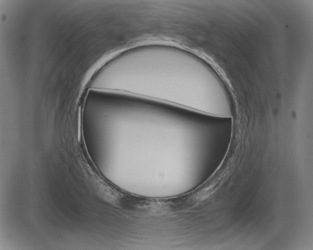 X0000085791175200703160926