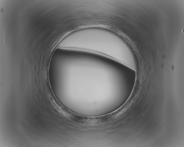 X0000085791177200703160926