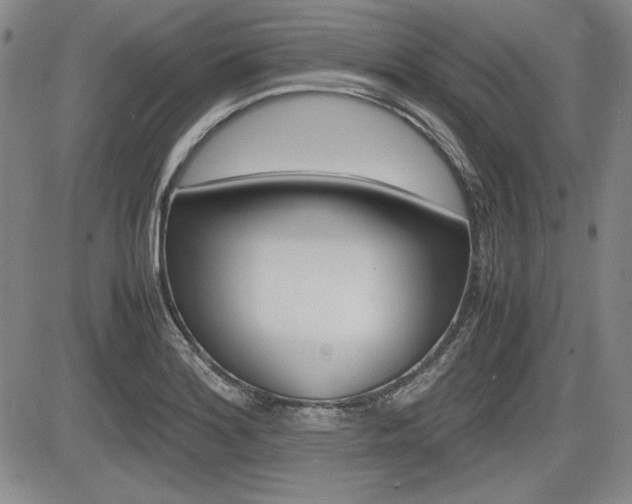 X0000085791180200703160926