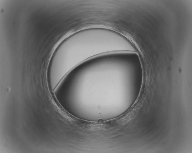 X0000085791181200703160926