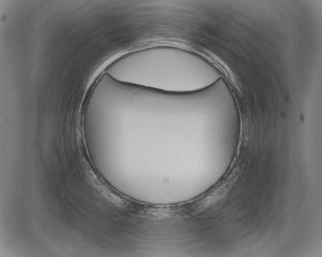 X0000085791182200703160926