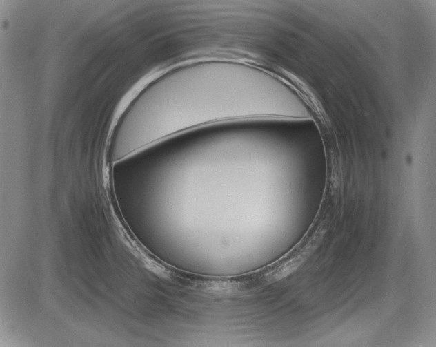X0000085791188200703160926