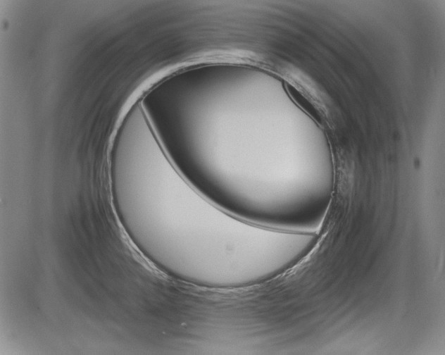 X0000085791192200703160926