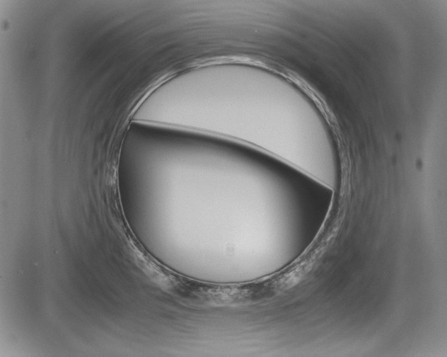 X0000085791193200703160926