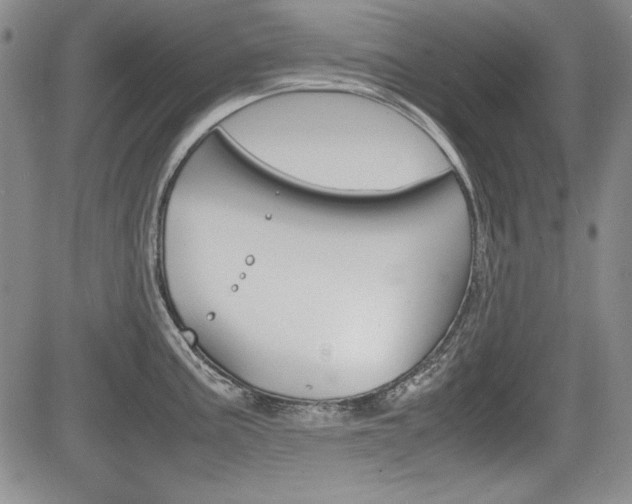 X0000085791195200703160926