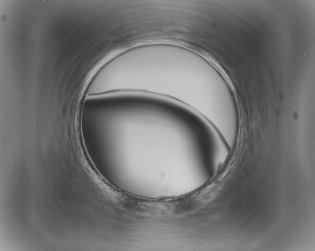 X0000085791197200703160926