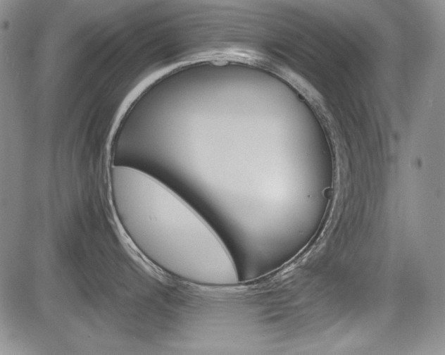 X0000085791200200703160925