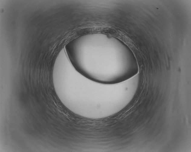 X0000085791204200703160925