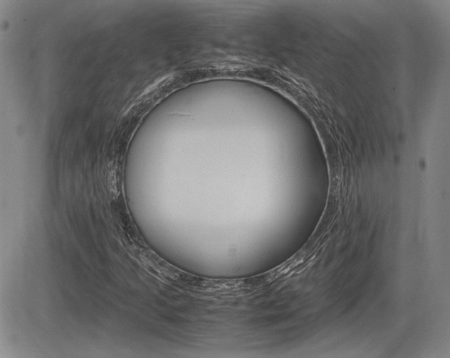 X0000085791205200703160925