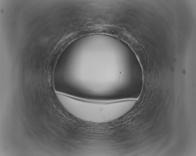 X0000085791206200703160925