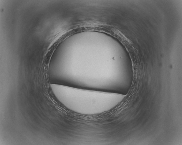 X0000085791208200703160925