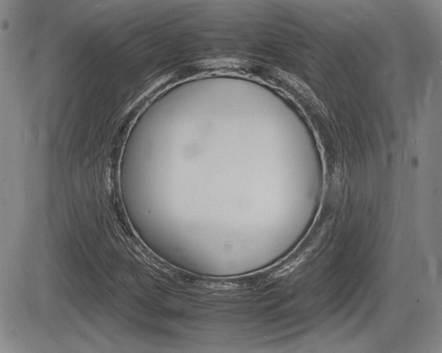 X0000085791209200703160925