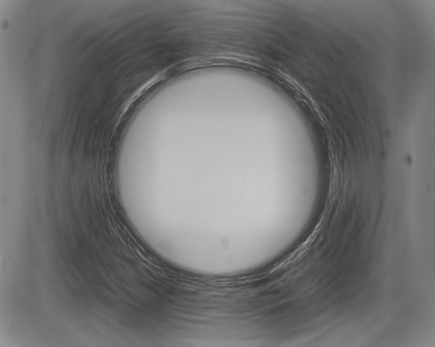 X0000085791210200703160925