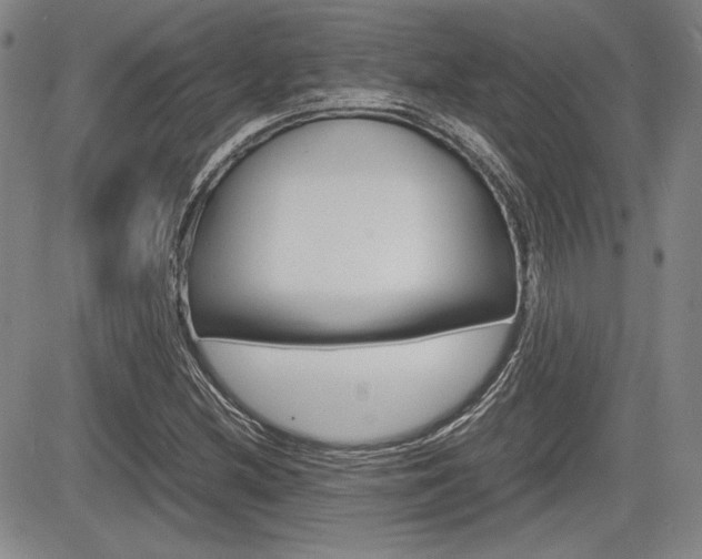 X0000085791212200703160925