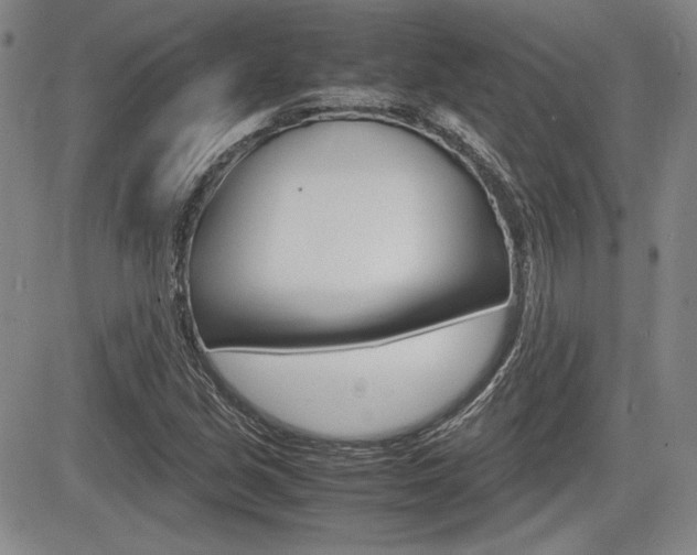 X0000085791213200703160925
