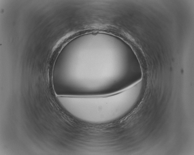 X0000085791214200703160925