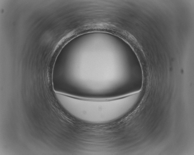 X0000085791218200703160925