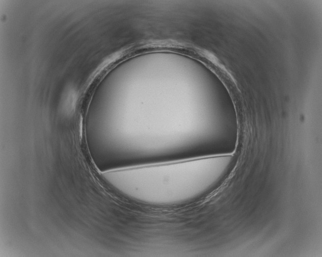 X0000085791221200703160925