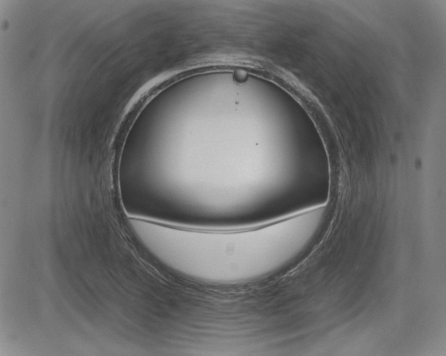 X0000085791222200703160925