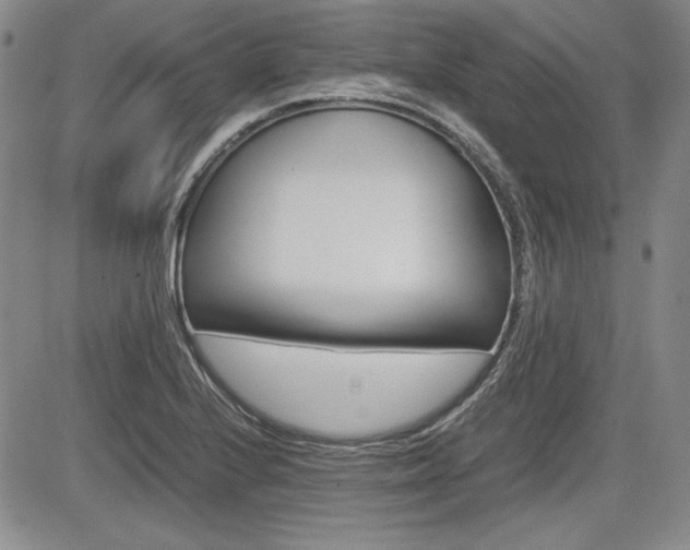 X0000085791224200703160925