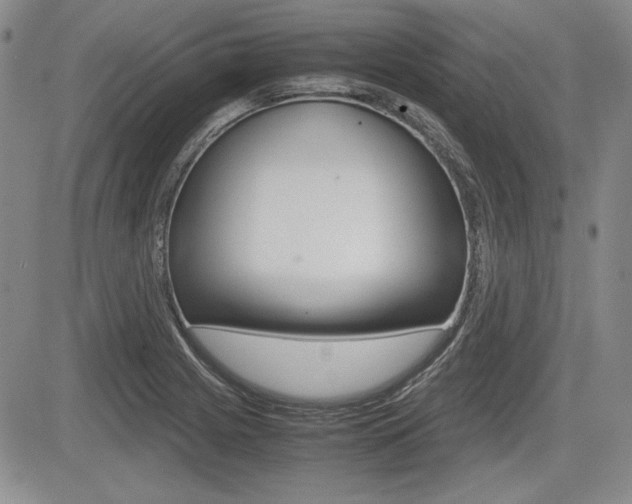 X0000085791225200703160925