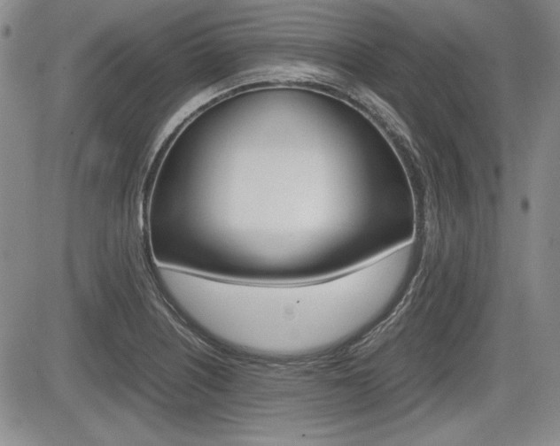 X0000085791226200703160925