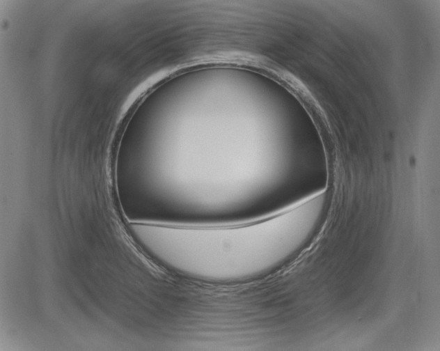 X0000085791230200703160925