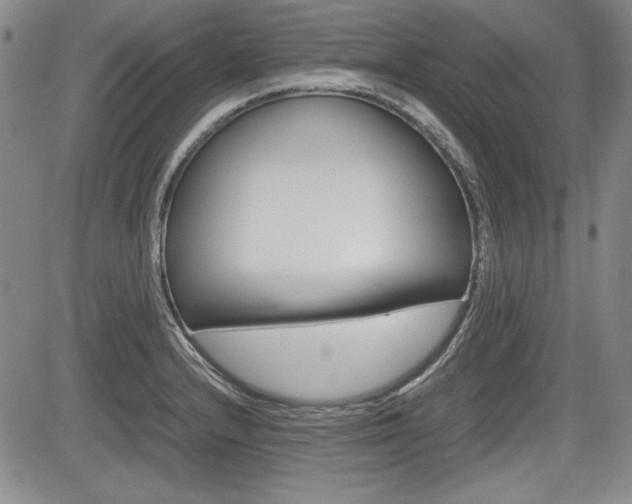 X0000085791232200703160925
