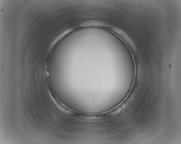 X0000085791233200703160925