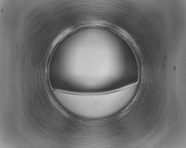 X0000085791234200703160925